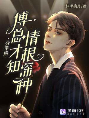 特工易冷结局