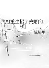 从红楼开始的穿越之旅