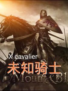 赘婿笔趣阁无弹窗